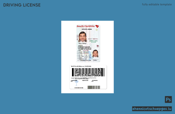 USA South Carolina Beispiel für einen Führerschein unter 21 Jahren